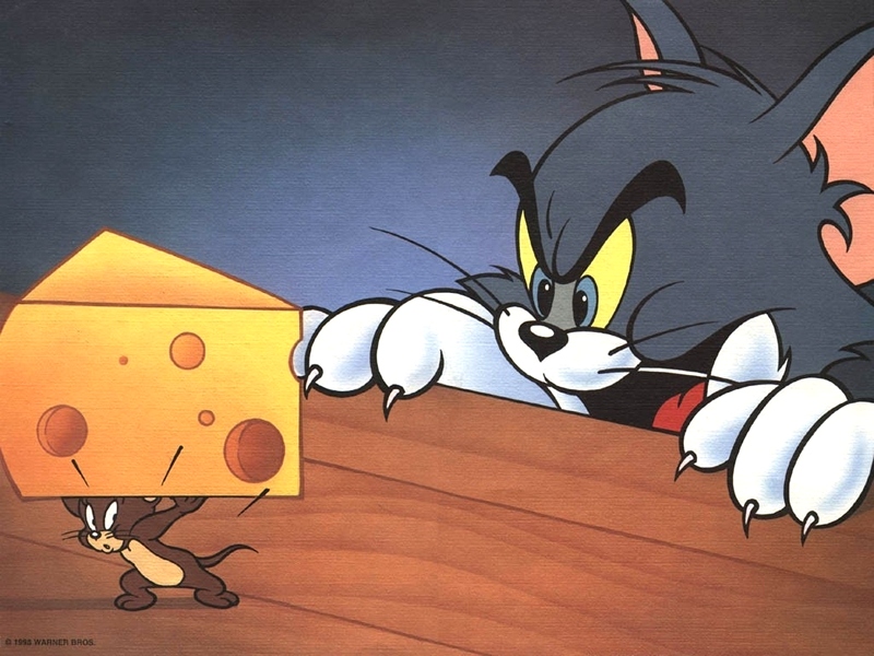 "Tom and Jerry" desktop wallpaper (800 x 600 pixels)